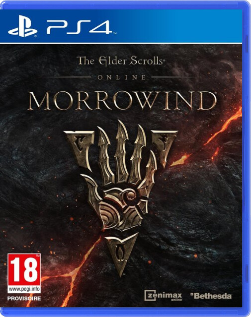 The Elder Scrolls Online: Morrowind (Steelcase)